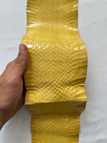 Pelle serpente per - di,
